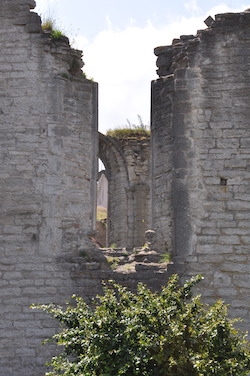 dsc_0006.jpg