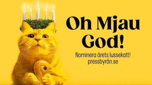 hk-saffran-bild-till-pressmedelande_2.jpg_kopia.jpg