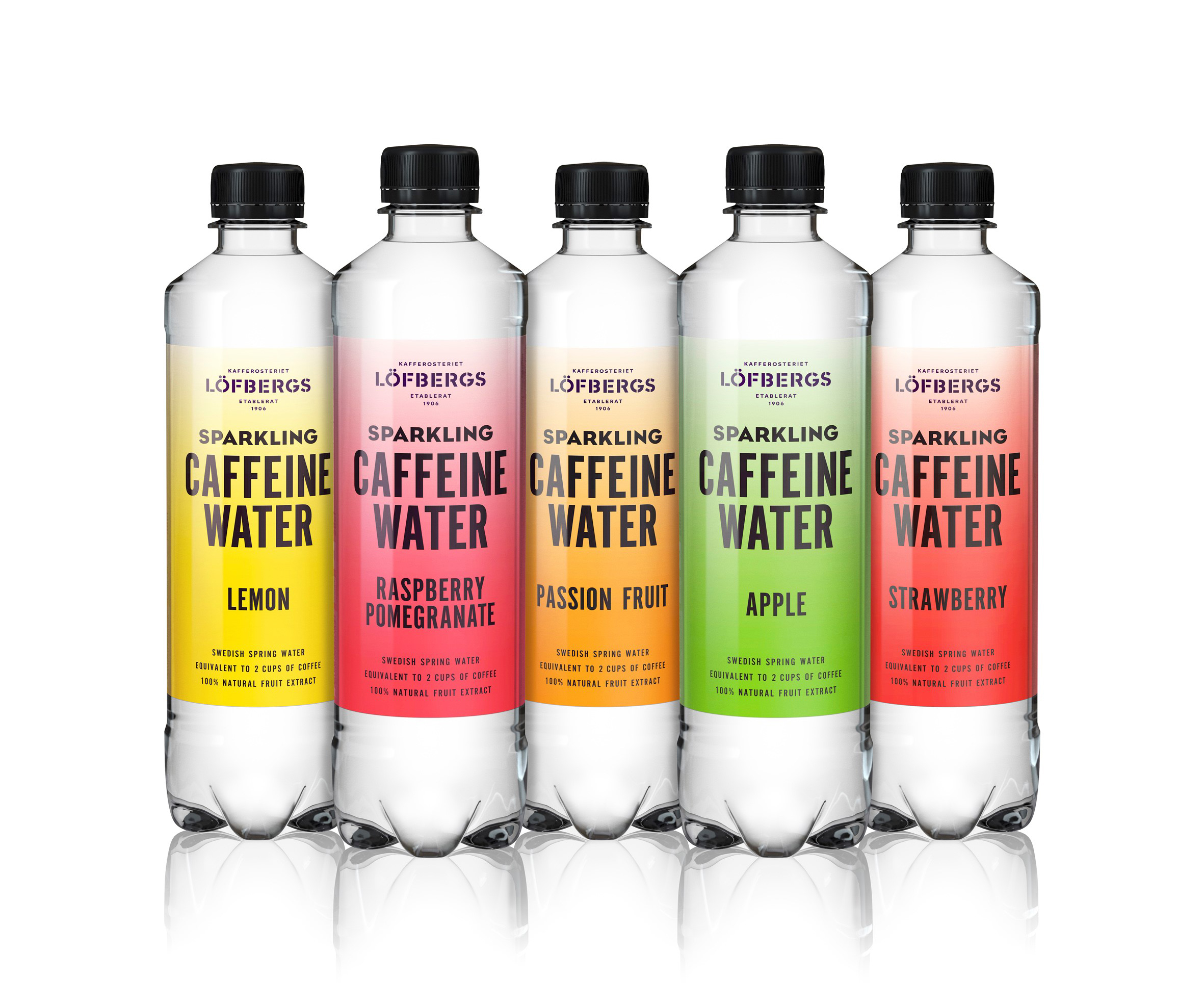 lofbergs caffeine water group