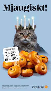 lussekatt.jpeg