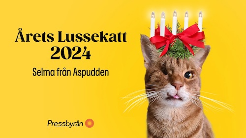 pressbild_selma.png_kopia.jpg